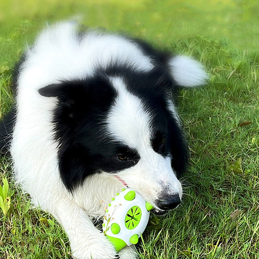 Dog Treat Despencer Toy