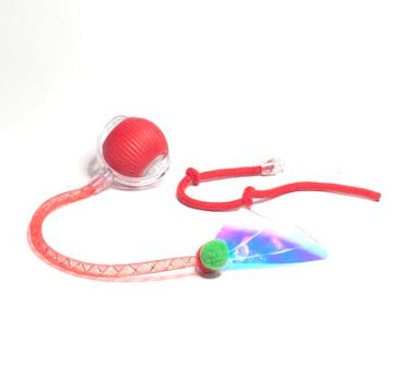 Chase & Play Interactive Pet Toy